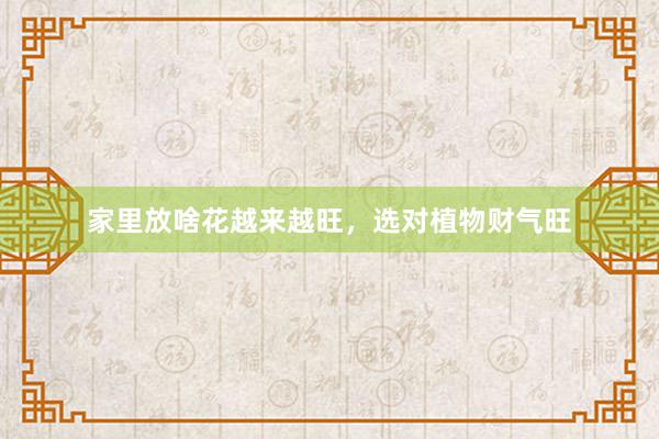 家里放啥花越来越旺，选对植物财气旺