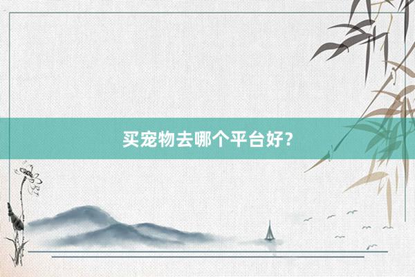 买宠物去哪个平台好？
