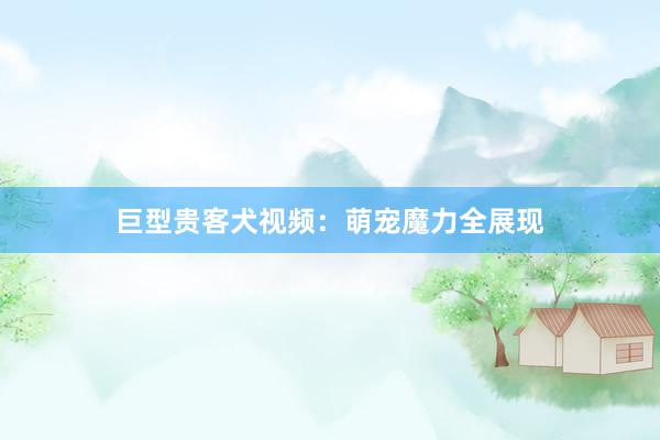 巨型贵客犬视频：萌宠魔力全展现