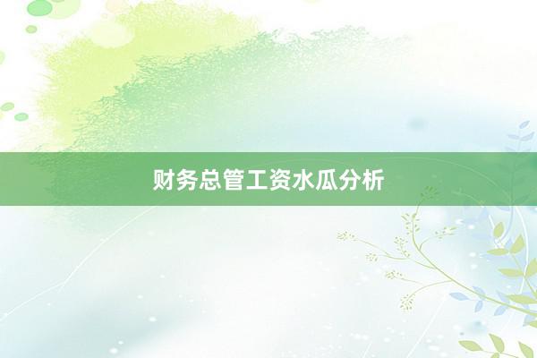 财务总管工资水瓜分析